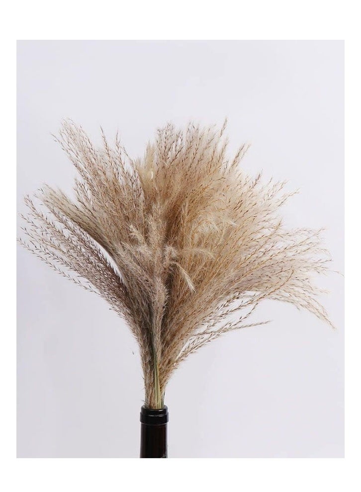 زي سي إم - هابي باقة زهور القصب المجففة لتزيين المنزل والمكتب لا تبهت - Image 1