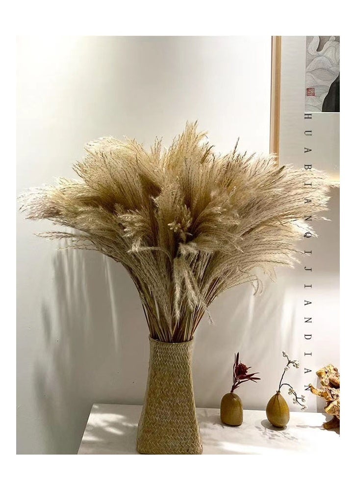 زي سي إم - هابي باقة زهور القصب المجففة لتزيين المنزل والمكتب لا تبهت - Image 5