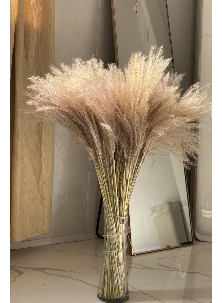 زي سي إم - هابي باقة زهور القصب المجففة لتزيين المنزل والمكتب لا تبهت - Image 4