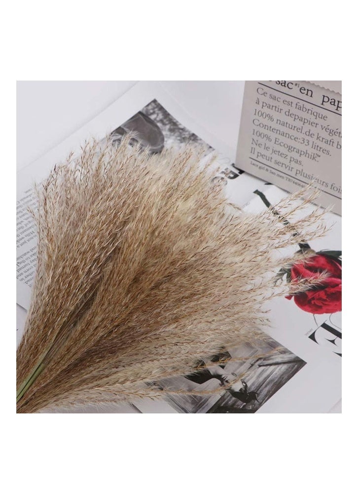 زي سي إم - هابي باقة زهور القصب المجففة لتزيين المنزل والمكتب لا تبهت - Image 3