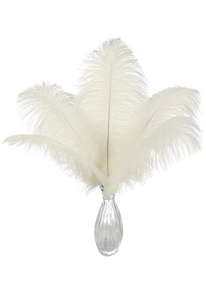 Ballinger Beige Ostrich Feathers Bulk - 24pcs 10-12inch Boho Feathers for vase，Wedding Party Centerpieces and Home Decor - Image 1