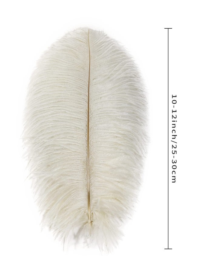 Ballinger Beige Ostrich Feathers Bulk - 24pcs 10-12inch Boho Feathers for vase，Wedding Party Centerpieces and Home Decor - Image 3