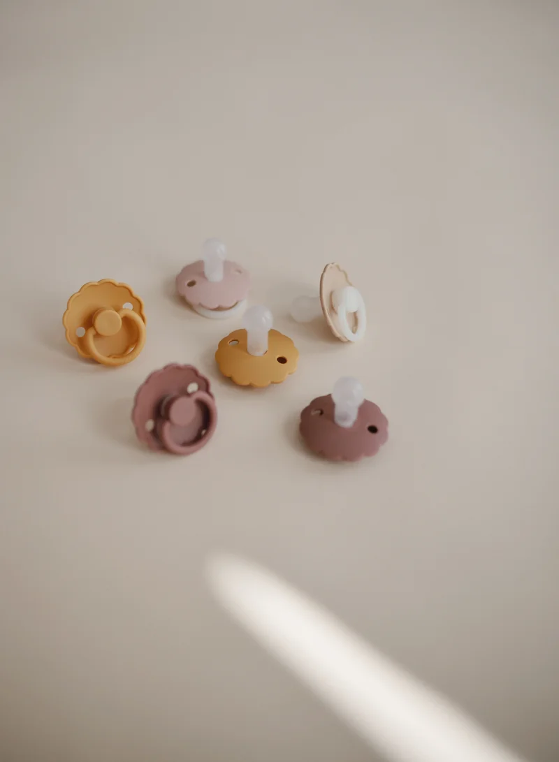FRIGG Pack Of 1 Daisy Silicone Baby Pacifier 6-18M Rose Gold - Size 2