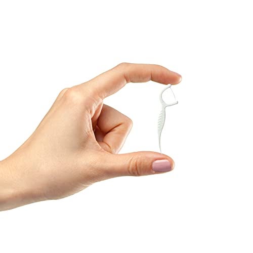 Setaria Viridis High Toughness Professional Toothpicks Sticks Dental Floss Picks 100 Picks Threader Flosser with 10 Storage Cases, flossing for Family,Hotel,Travel - Image 5