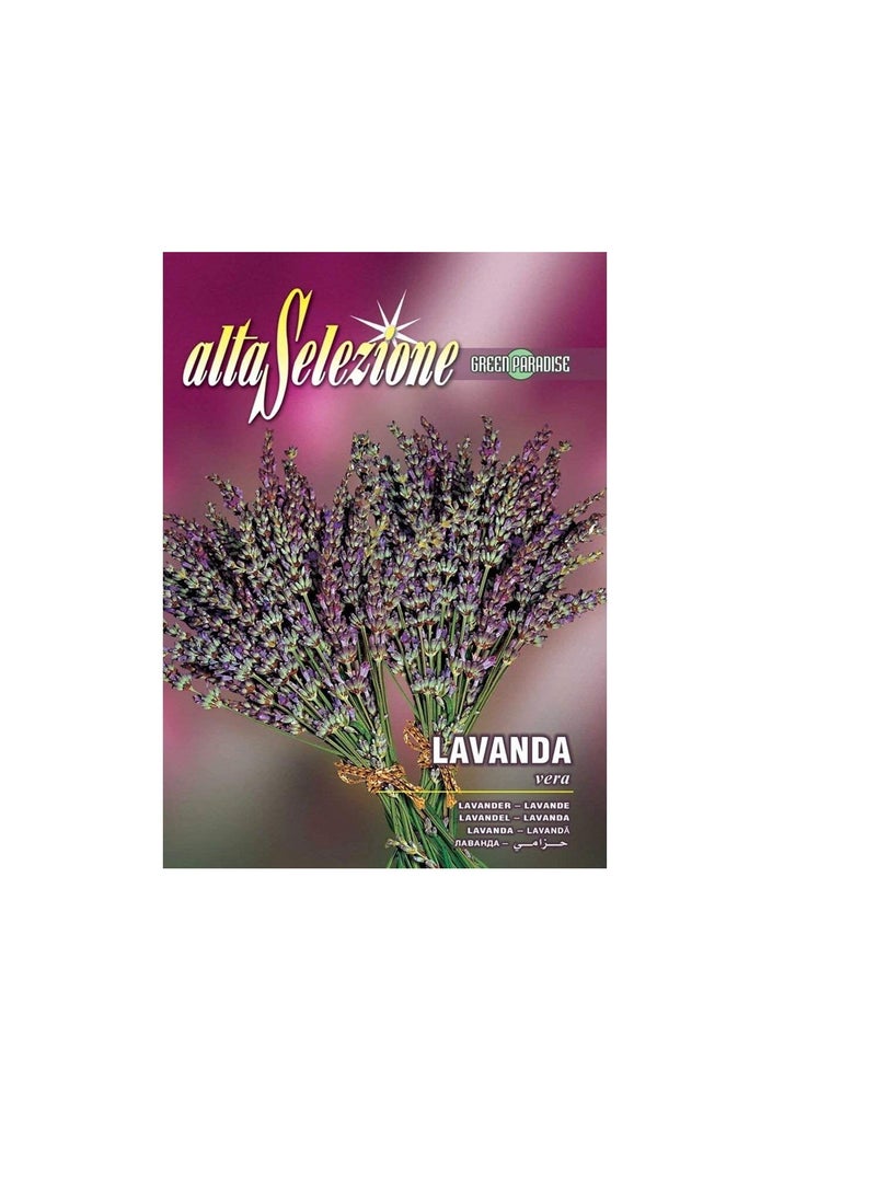ماركة غير محددة بذور Alta Selezione Lavender عالية الجودة  - Image 1