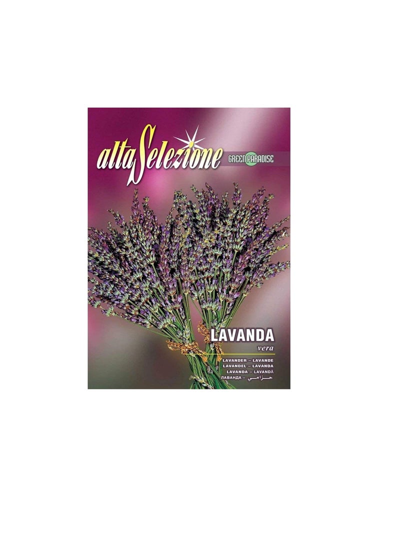 ماركة غير محددة بذور Alta Selezione Lavender عالية الجودة  - Image 2