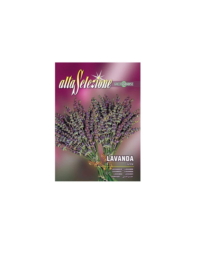 ماركة غير محددة بذور Alta Selezione Lavender عالية الجودة  - Image 3