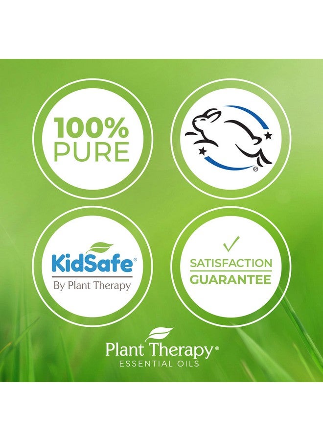 Plant Therapy Aloe Vera Jelly 16 Oz All Natural Unscented Base Newly Reformulated - Image 3