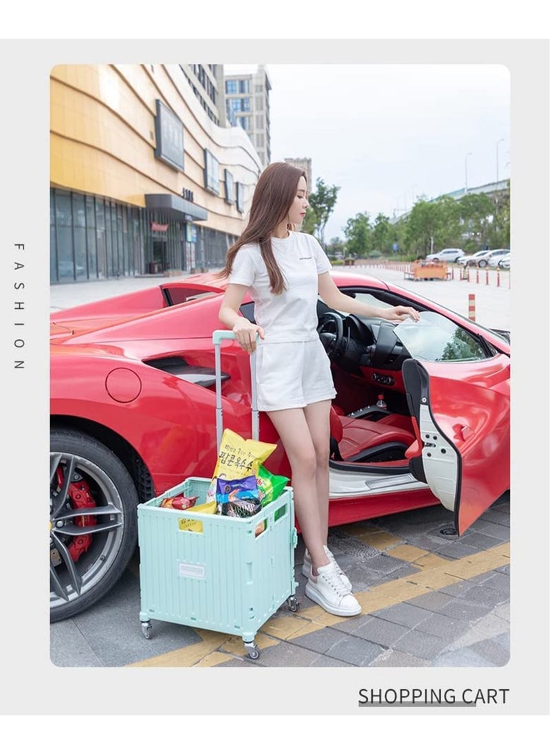 MissTiara - Camping Foldable Box 65L Foldable Utility Rolling Shopping Cart with Telescoping Handle and 360 Degree Universal Wheels for Outdoor Camping and Hiking Tourist Shopping - Image 1