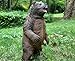 Gemini&Genius GeminiGenius Brown Bear Toy Large Grizzly Safari Animal Figurine Lifelike Wildlife Action Figure for Kids Learning and Play Animal World Collectible Gift - Image 4