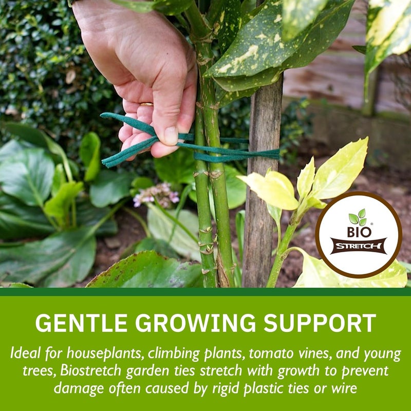 Biostretch Soft Garden Plant Ties for Indoor & Outdoor Plants - Strong & Stretchy Cut-to-Length Plant Tape for Climbing Plants, Tomato Vines & Home Gardening (65 ft / 20M) - Image 3