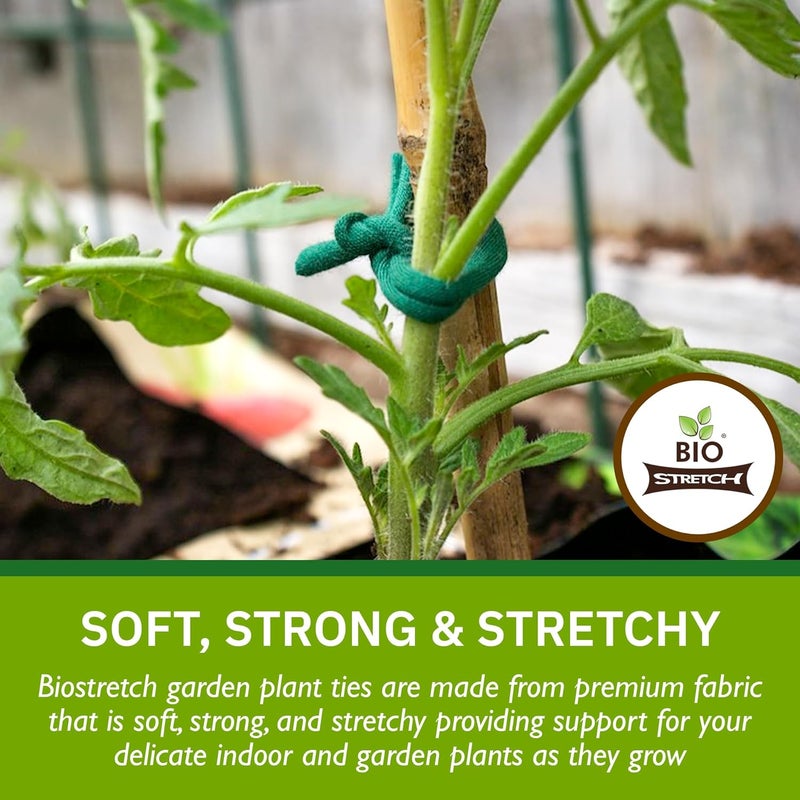 Biostretch Soft Garden Plant Ties for Indoor & Outdoor Plants - Strong & Stretchy Cut-to-Length Plant Tape for Climbing Plants, Tomato Vines & Home Gardening (65 ft / 20M) - Image 2