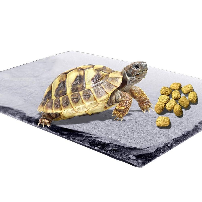kathson Reptile Basking Platform 79 x 118 inches Natural Rock Plate Turtle Food Bowl Feeding Dish Resting Terrace Habitat Decor for Tortoise Turtle Lizard Bearded Dragon Crested Gecko Snake