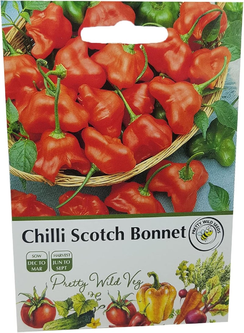 GGOOT Chilli Scotch Bonnet Seeds in Pictorial Packet from a UK Seller Perennial Hot Pepper Variety - Image 1