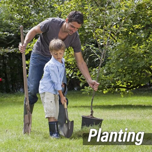 VNIMTI Shovel for Digging, Round Small Shovel with Wooden D-Handle, Metal Garden Shovel for Gardening, 28 Inches - Image 3