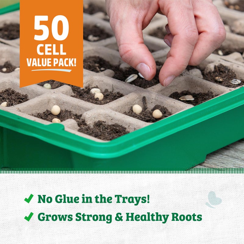 Back to The Roots Grow Kit Refill Pack - Image 4