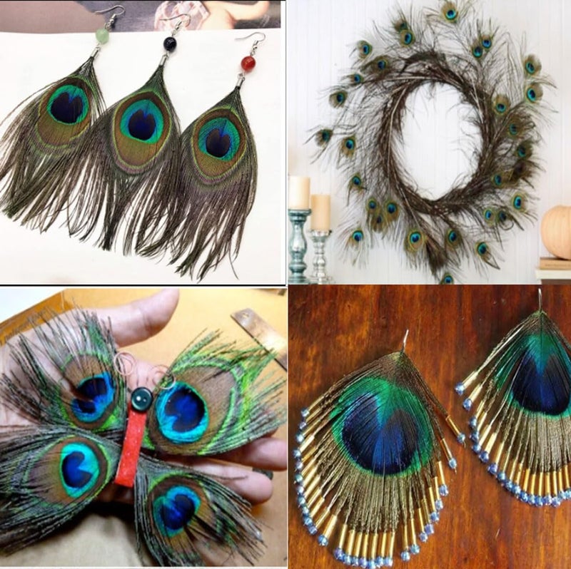 Tia Crafts Peacock Feather, Mor Pankh for Home Decor, Art and Craft, Worship | Natural Real Peacock Size 8 cm (5) - Image 4