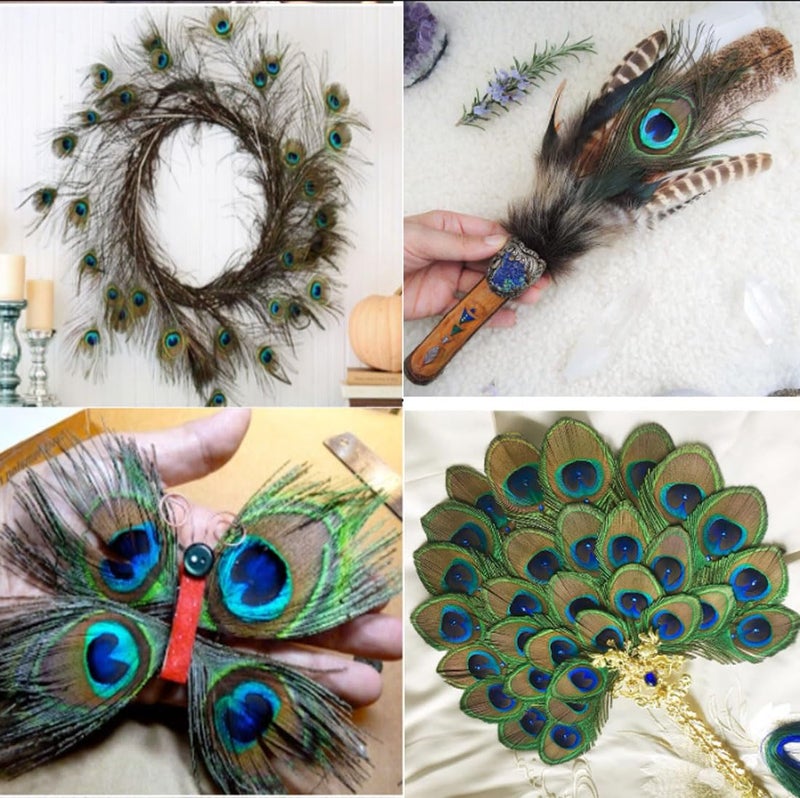 Tia Crafts Peacock Feather, Mor Pankh for Home Decor, Art and Craft, Worship | Natural Real Peacock Size 8 cm (5) - Image 5