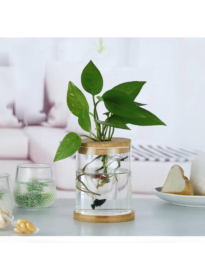 موثوقية التنبؤ محطات زراعة النباتات الزجاجية، مزهريات الزهور المكتبية، مجموعة مزهريات زراعة الزهور، أواني زراعة النباتات المقطوعة لغرفة المعيشة، ديكور غرفة النوم، ديكور المنزل والمكتب - Image 1