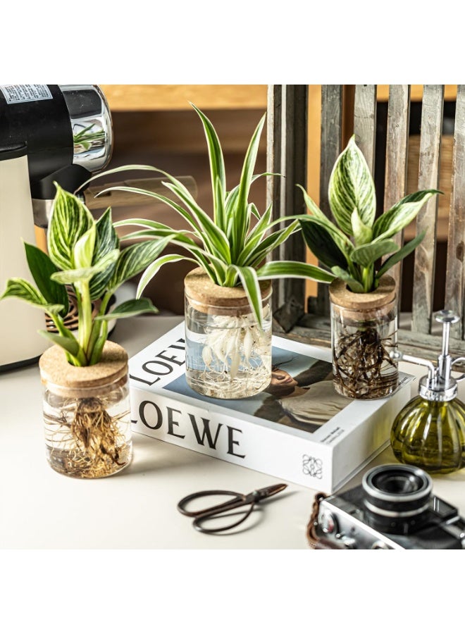 موثوقية التنبؤ محطات زراعة النباتات الزجاجية، مزهريات الزهور المكتبية، مجموعة مزهريات زراعة الزهور، أواني زراعة النباتات المقطوعة لغرفة المعيشة، ديكور غرفة النوم، ديكور المنزل والمكتب - Image 3