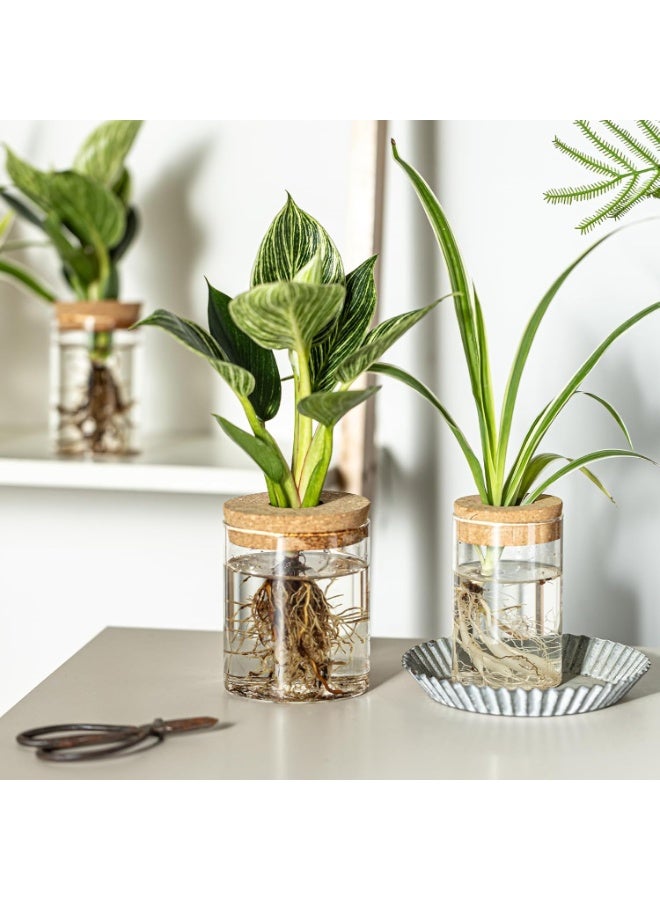 موثوقية التنبؤ محطات زراعة النباتات الزجاجية، مزهريات الزهور المكتبية، مجموعة مزهريات زراعة الزهور، أواني زراعة النباتات المقطوعة لغرفة المعيشة، ديكور غرفة النوم، ديكور المنزل والمكتب - Image 4