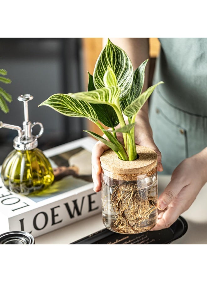 موثوقية التنبؤ محطات زراعة النباتات الزجاجية، مزهريات الزهور المكتبية، مجموعة مزهريات زراعة الزهور، أواني زراعة النباتات المقطوعة لغرفة المعيشة، ديكور غرفة النوم، ديكور المنزل والمكتب - Image 5