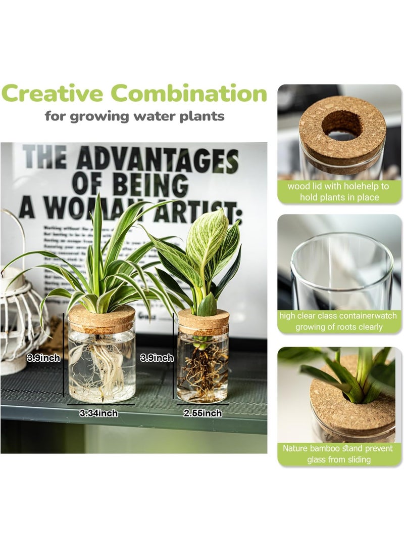 موثوقية التنبؤ محطات زراعة النباتات الزجاجية، مزهريات الزهور المكتبية، مجموعة مزهريات زراعة الزهور، أواني زراعة النباتات المقطوعة لغرفة المعيشة، ديكور غرفة النوم، ديكور المنزل والمكتب - Image 2