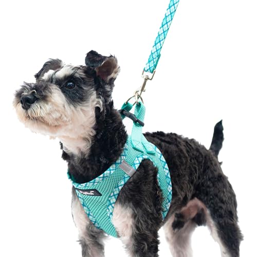 PUPTECK Dog Harness and Leash Set for Small Medium Dogs No Pull Step-in Soft Mesh Puppy Cat Vest Harnesses Reflective at Night, Green S - Image 1