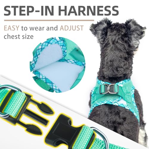 PUPTECK Dog Harness and Leash Set for Small Medium Dogs No Pull Step-in Soft Mesh Puppy Cat Vest Harnesses Reflective at Night, Green S - Image 4