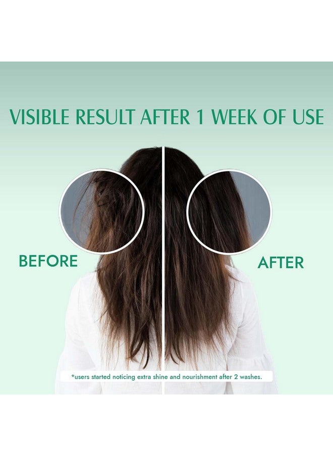 Aravi Organic Aravi Organic Rosemary Hair Growth Conditioner - Enriched With Rosemary, Green Tea & Caffeine - For All Hair Types - For Men & Women - Sulfate & Paraben Free (200 ml)  - Image 5