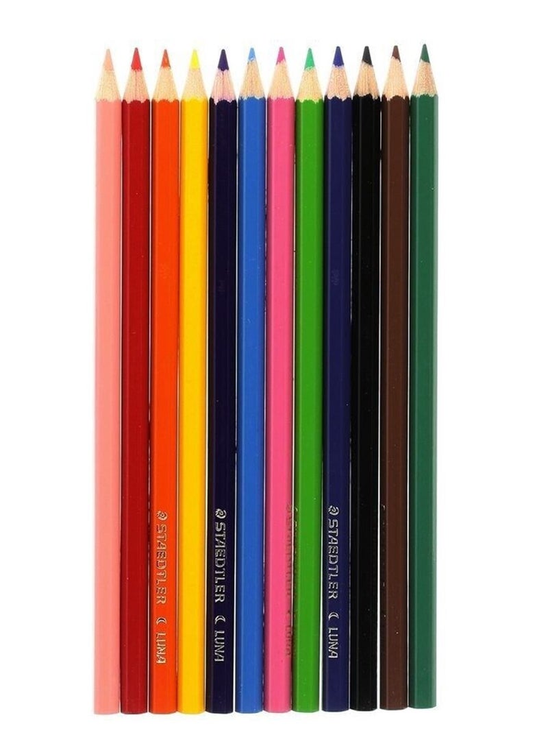 STAEDTLER 12-Piece Luna Colour Pencils In Metal Cylinder - Image 3