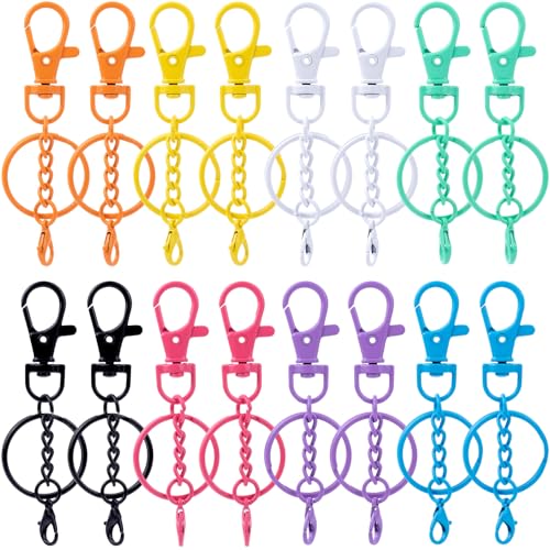 Winsyison 16pcs Colorful Swivel Snap Hook with Keyrings, Alloy Small Lobster Claw Clasps Keychain Clip, Heavy Duty Key Chain Hooks Clasps for Lanyard Keychains Backpacks DIY Crafts - 8 Colors - Image 1