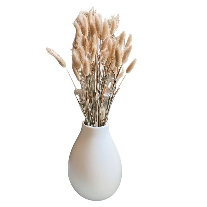 Arte Casa Imported Bunny Tails Brown Naturally Dried Stems Perfect for Rustic Home Decor Set of 30 Pack of 1