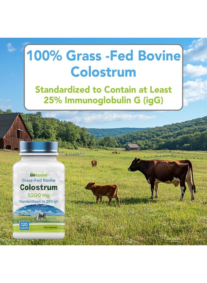 tnvitamins Colostrum Supplement 1,200 mg Per Serving, 120 Capsules | Standardized to 25% IgG (Immunoglobulin G) | Grass-Fed Bovine Colostrum Powder Caps | Immune Support Supplement | Non-GMO, Made in the USA! - Image 3