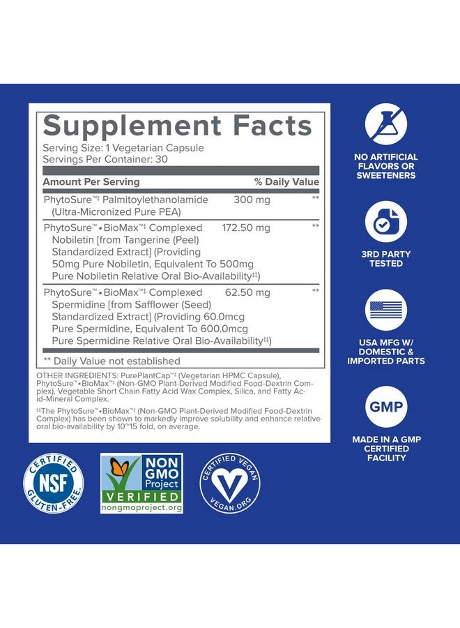Gundry MD® Bio Sync Supplement for Daytime Energy, Supports Focus and Memory†* - (30 Servings) - Image 2