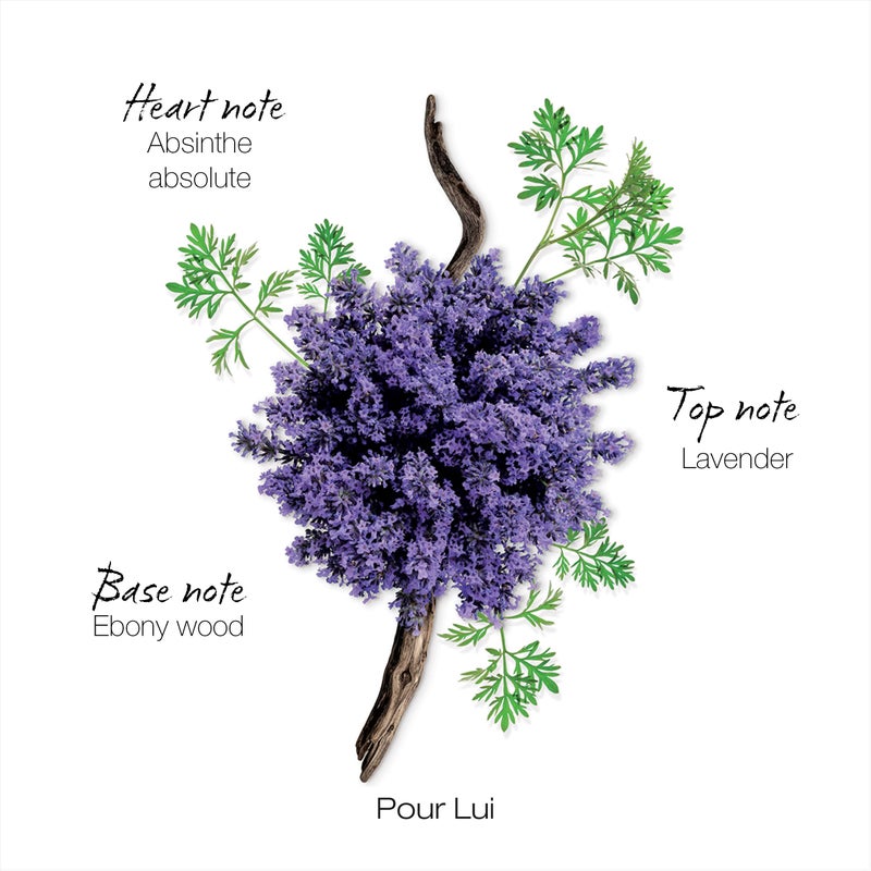 Mauboussin - Pour Lui 100ml (3.3 Fl Oz) - Eau de Parfum for Men - Fern & Modern Scents - Image 4