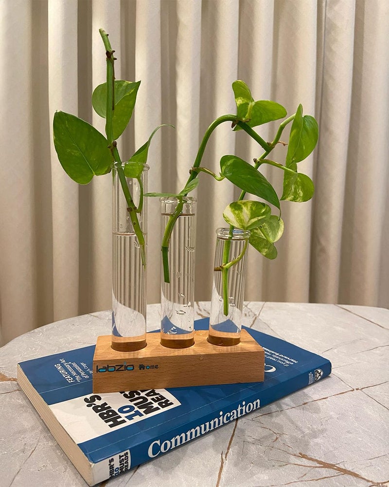 LABZIO Flower Vase with 3 Hand-Blown Borosilicate Glass Test Tubes in Small Wooden Block Stand – Elegant Diwali Home Decor, Festive Floral Display, Pooja Room & Living Room Decoration - Image 4