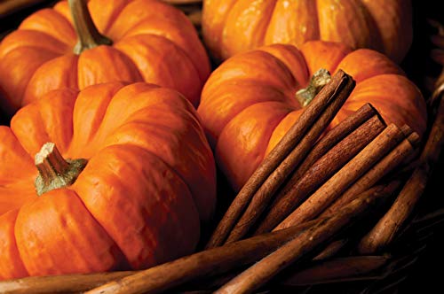Root Candles Fall Scented Candles Honeycomb Premium Handcrafted Beeswax Blend Candle, Small Veriglass, Pumpkin Spice - Image 3