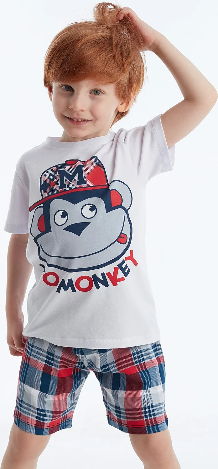 Denokids Monkey Plaid Boy T-shirt Shorts Set