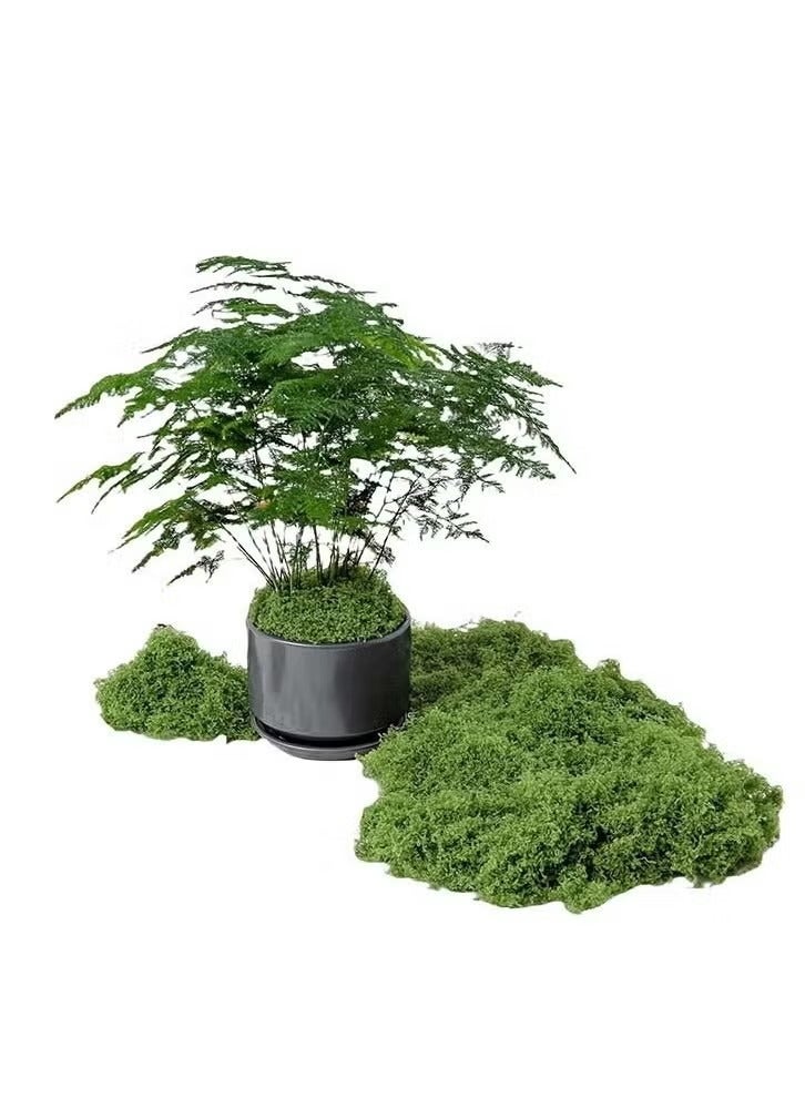 100g Moss Grass يحاكي تمامًا طحلب اصطناعي مزيف العشب الأخضر للقطاعات المركزية للمنزل المطبخ ديكور حديقة محفوظة الغابات المحفوظة - Image 2
