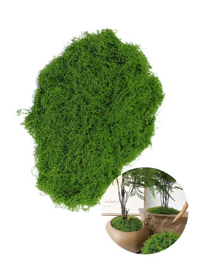 100g Moss Grass يحاكي تمامًا طحلب اصطناعي مزيف العشب الأخضر للقطاعات المركزية للمنزل المطبخ ديكور حديقة محفوظة الغابات المحفوظة - Image 3