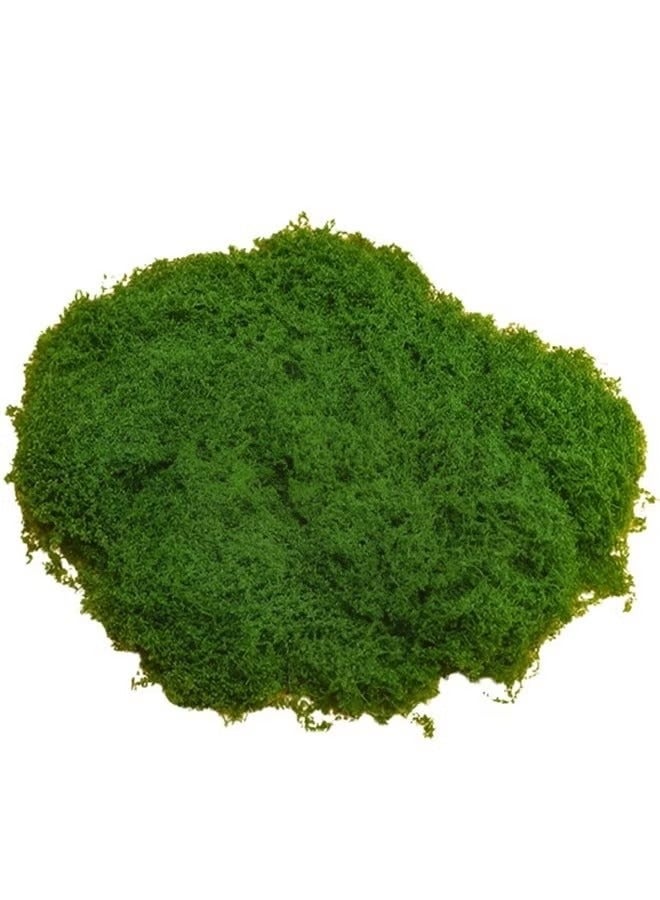 100g Moss Grass يحاكي تمامًا طحلب اصطناعي مزيف العشب الأخضر للقطاعات المركزية للمنزل المطبخ ديكور حديقة محفوظة الغابات المحفوظة - Image 4