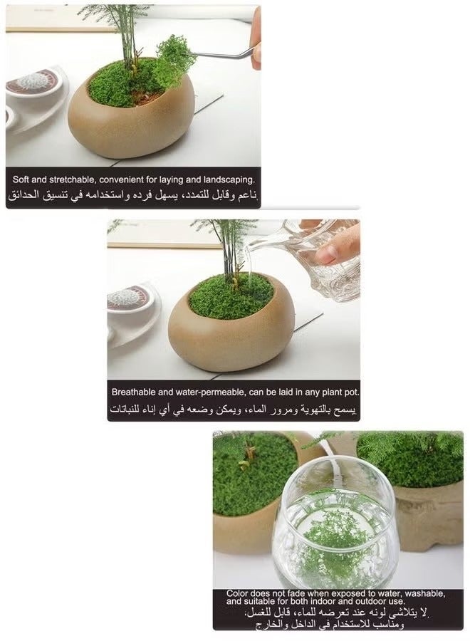 100g Moss Grass يحاكي تمامًا طحلب اصطناعي مزيف العشب الأخضر للقطاعات المركزية للمنزل المطبخ ديكور حديقة محفوظة الغابات المحفوظة - Image 5