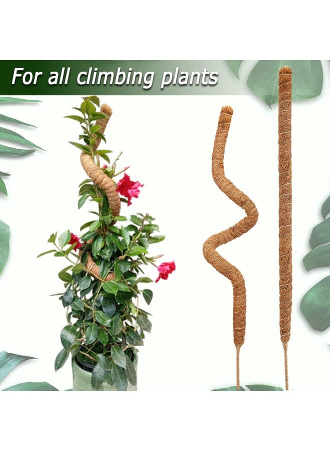 موثوقية التنبؤ عمود طحلب 70 سم، 2 عبوة عمود طحلب قابل للانحناء لنباتات المونستيرا، أعمدة طحلب لتسلق النباتات في الأماكن المغلقة، أعمدة نباتات جوز الهند المصنوعة يدويًا من جوز الهند، أعمدة دعم للنباتات المحفوظة في أصص - Image 3