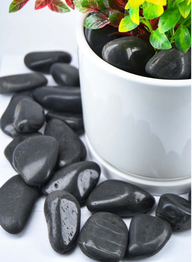vsell24 3KG Polished Black Decorative Stones – Ideal for Aquariums, Planters, Terrariums & Stylish Home Décor - Image 1
