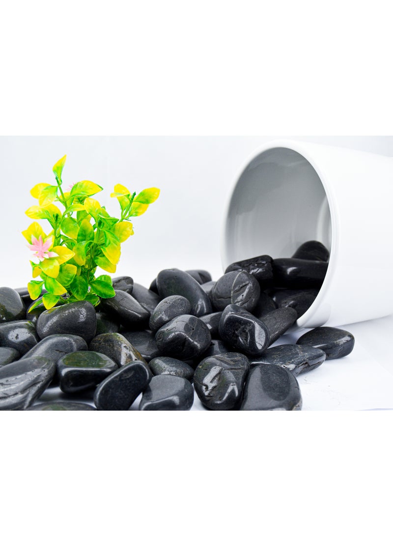 vsell24 3KG Polished Black Decorative Stones – Ideal for Aquariums, Planters, Terrariums & Stylish Home Décor - Image 2