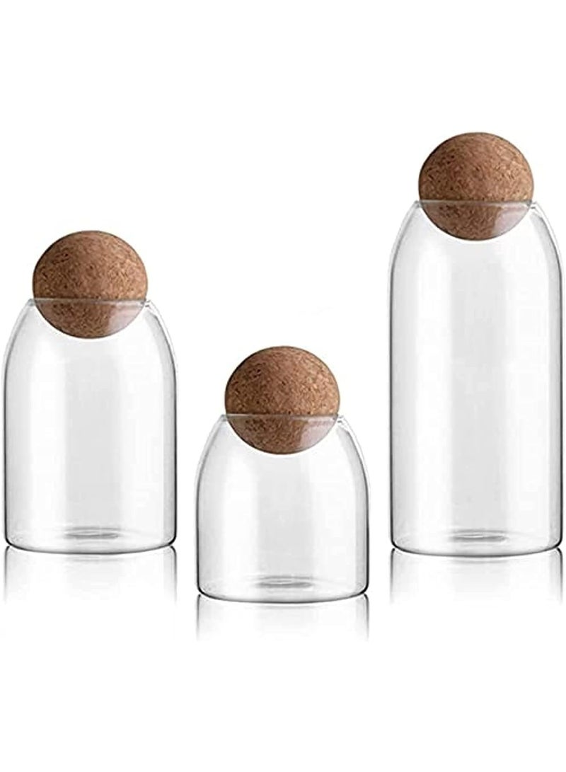 BLOOMING TIME 3-Piece Food Storage With Cork Ball Lid Clear - Image 1