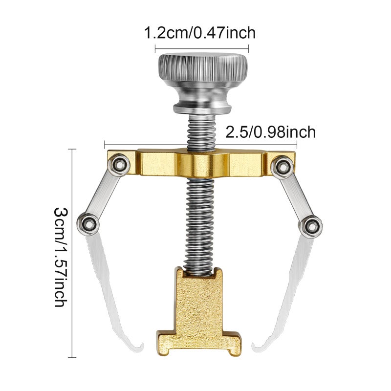 Mudder 2 Pieces Ingrown Toenail Lifter Ingrown Toenail Tool Toe Clamp Stainless Steel Foot Care Tool for Paronychia (Gold) - Image 2