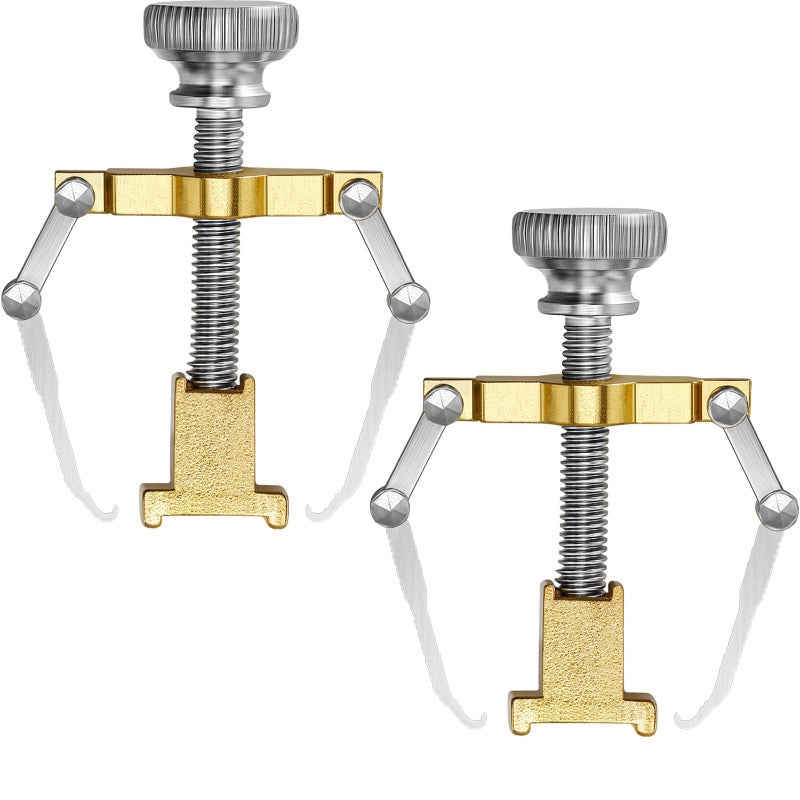 Mudder 2 Pieces Ingrown Toenail Lifter Ingrown Toenail Tool Toe Clamp Stainless Steel Foot Care Tool for Paronychia (Gold) - Image 1