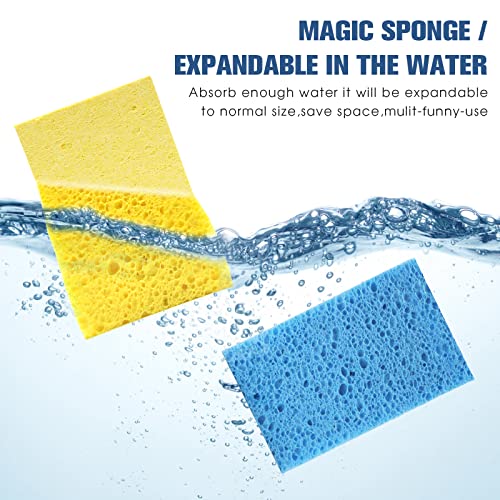 PANYEE Compressed Cellulose Kitchen Sponges 12Pack，Non-Scratch Biodegradable Natural Colorful Sponge Scrub for Dishes Cleaning,Funny DIY Sponge for Kids - Image 4